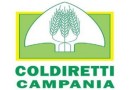 Oscar Green 2019, Coldiretti Campania: iscrizioni aperte per giovani innovatori Oscar Green 2019, Coldiretti Campania: iscrizioni aperte per giovani innovatori