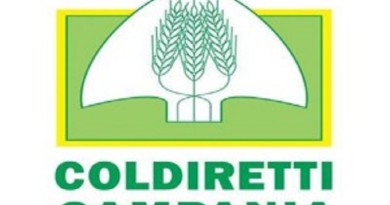 Lavoro: Coldiretti, contratto per 1,2 MLN di operai agricoli Lavoro: Coldiretti, contratto per 1,2 MLN di operai agricoli
