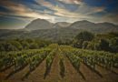 da “vinitaly” a “ciak irpinia”: in vetrina l’irpinia del vino al via le attività di vigilanza sul territorio del consorzio di tutela da “vinitaly” a “ciak irpinia”: in vetrina l’irpinia del vino al via le attività di vigilanza sul territorio del consorzio di tutela