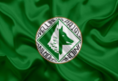 COMUNICATO STAMPA: Precisazioni dell’US Avellino in merito al blitz della G.F. COMUNICATO STAMPA: Precisazioni dell’US Avellino in merito al blitz della G.F.