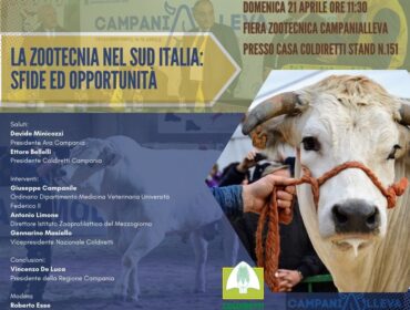 La Zootecnia del sud Italia, sfide ed opportunità: domani il Governatore della Campania Vincenzo De Luca a Casa Coldiretti