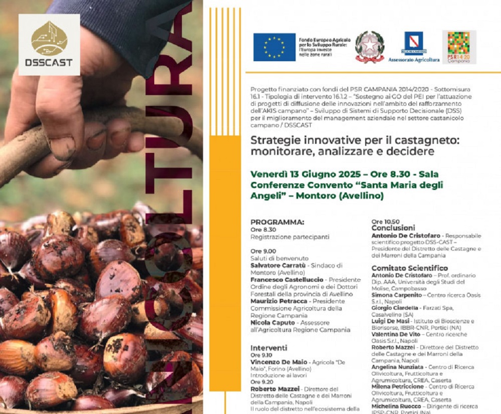 Il futuro del castagneto in Campania: domani il progetto DSSCAST presenta  le strategie innovative per monitorare, analizzare e decidere –  Gazzettadellirpinia