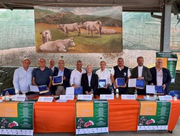 San Giorgio la Molara, edizione da record per la Festa della Marchigiana