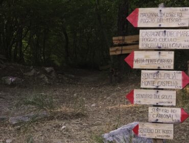 BOSCO DIO! Nel fine settimana all’Oasi Diecimare un grande rito collettivo tra natura, musica e cultura